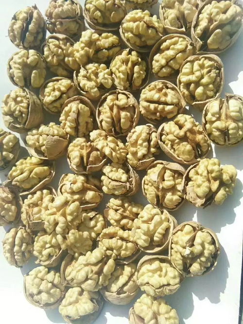 五家渠微利干果元旦特價(jià)大禮包 限時(shí)搶購(gòu)，手慢無(wú)！