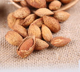 新貨香濃巴旦木 罐裝堅(jiān)果零食的品質(zhì)守護(hù)與批發(fā)選擇